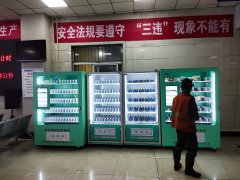 陜西省涇陽縣-著名景區鄭國湖 客戶擺放案例